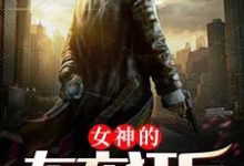 女神的布衣狂兵小说有没有完整的免费版本在线阅读?-够力荐小说推荐网