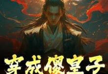 穿成傻皇子,我大闹京都(萧万平赵十三)在线免费阅读-够力荐小说推荐网