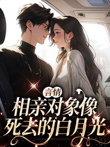哪里能找到言情：相亲对象像死去的白月光小说的全部章节？