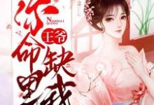 王爷，你命里缺我小说，王爷，你命里缺我免费阅读-够力荐小说推荐网