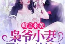 萌宝来袭,枭爷小妻马甲又掉了小说的最新章节在哪里更新?免费追踪阅读-够力荐小说推荐网