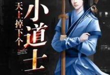 天上掉下个小道士小说完结版章节免费阅读-够力荐小说推荐网