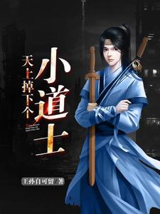 天上掉下个小道士小说完结版章节免费阅读