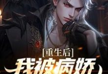 《重生后，我被病娇女霸气壁咚》全集免费在线阅读（林轩苏婳）-够力荐小说推荐网