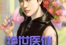 完结版《绝世医仙在打工》免费阅读-够力荐小说推荐网