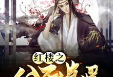 《红楼之公子逍遥》小说大结局免费试读 贾珏秦可卿小说-够力荐小说推荐网