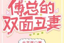 《三宝联盟:傅总的双面丑妻》小说章节列表免费试读,许安安傅寒决小说在线阅读-够力荐小说推荐网