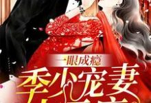 一眼成瘾:季少宠妻太无度顾汐妍季霆骁凌灵叶柯小说在线章节免费阅读-够力荐小说推荐网