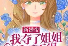 求姜早早陆迟小说免费资源-够力荐小说推荐网