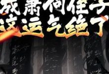 免费阅读萧郗为主角的小说，开局成萧何侄子，这运气绝了在线看-够力荐小说推荐网