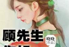 顾先生,你好最新章节,顾先生,你好免费阅读-够力荐小说推荐网