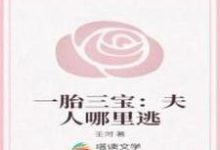 一胎三宝:夫人哪里逃小说的免费电子版在哪里可以下载或阅读?-够力荐小说推荐网