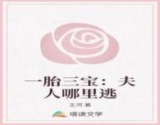 一胎三宝：夫人哪里逃小说的免费电子版在哪里可以下载或阅读？