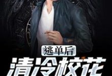 《逃单后，清冷校花她后悔了》全集免费在线阅读（陆晨）-够力荐小说推荐网