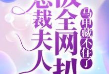 主角叫 叶歌阑萧容止的小说在哪阅读-够力荐小说推荐网