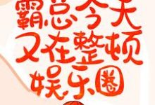 小说《灵魂互换:霸总今天又在整顿娱乐圈》章节免费阅读-够力荐小说推荐网