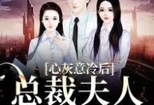 小说《心灰意冷后，总裁夫人高不可攀》章节免费阅读-够力荐小说推荐网