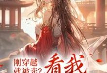 刚穿越，就被卖？看我逆袭人生李安宁，刚穿越，就被卖？看我逆袭人生章节在线阅读-够力荐小说推荐网