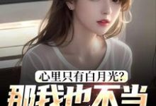 心里只有白月光?那我也不当你舔狗了最新章节,心里只有白月光?那我也不当你舔狗了免费阅读-够力荐小说推荐网