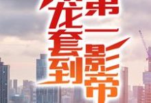 《从龙套到第一影帝》小说主角凌云周姐章节章节免费在线阅读-够力荐小说推荐网