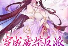 穿成废柴反派,我狂撩女主小说的免费阅读版本在哪里可以找到?-够力荐小说推荐网
