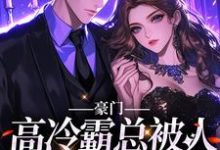 《豪门:高冷霸总被人吃干抹净?》小说主角司祁白章节章节免费在线阅读-够力荐小说推荐网