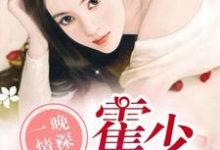 林之夏霍亦琛小说叫什么(一晚情深,霍少溺宠娇妻免费阅读)-够力荐小说推荐网