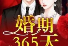 婚期365天免费阅读,婚期365天慕浅霍靳西叶惜叶璟帆-够力荐小说推荐网