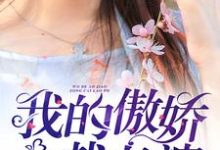 我的傲娇总裁老婆苏凡林嫣然小说免费阅读-够力荐小说推荐网