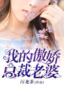 我的傲娇总裁老婆苏凡林嫣然小说免费阅读