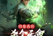 楚轻舟是哪本书的主角?寻找四象真传,杀个天命不是简简单单免费阅读-够力荐小说推荐网