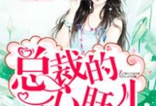 总裁的心肝儿恬心即黑轩小说免费阅读-够力荐小说推荐网