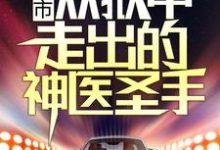 燕宸秦韵是哪本书的主角?都市:从狱中走出的神医圣手免费读-够力荐小说推荐网