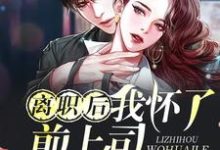 完结版《离职后我怀了前上司的孩子》章节目录在线阅读-够力荐小说推荐网