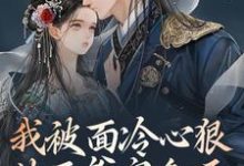我被面冷心狠的王爷宠翻天免费阅读，我被面冷心狠的王爷宠翻天章节目录-够力荐小说推荐网