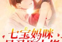 七宝妈咪是马甲大佬小说全文阅读需要付费吗?寻找免费资源-够力荐小说推荐网