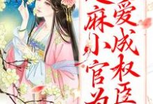 甜宠：芝麻小官为爱成权臣了小说的所有章节都能在哪里免费读到？-够力荐小说推荐网