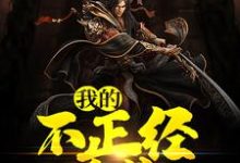 我的不正经系统这本小说完结了吗？免费查看最新章节-够力荐小说推荐网