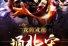 许平赵佶为主角的小说好看吗?求我的戒指通北宋免费试读-够力荐小说推荐网