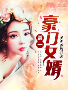 免费阅读叶南风秦雪为主角的小说，第一豪门女婿在线看
