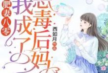 主角叫 薛梨花赵云风的小说在哪阅读-够力荐小说推荐网