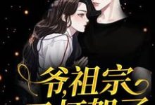 爷,祖宗又打架了小说完结了吗?在哪里可以免费读到?-够力荐小说推荐网