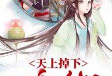 小说《天上掉下一个媳妇》在线章节阅读-够力荐小说推荐网