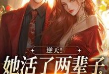 宁悠墨时骞小说在线章节免费阅读(逆天!她活了两辈子,被少年撩到了无弹窗无删减)-够力荐小说推荐网