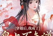 穿越后,我成了皇上不知道的小公主叶景星,穿越后,我成了皇上不知道的小公主章节在线阅读-够力荐小说推荐网