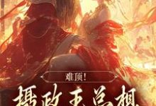 在线寻找李木兰楚宸风的小说,难顶!摄政王总想忽悠我嫁给他免费阅读-够力荐小说推荐网