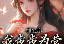 主人公叫萧珞沈彧的小说哪里免费看-够力荐小说推荐网