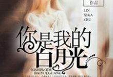 你是我的白月光小说的免费电子版在哪里可以下载或阅读?-够力荐小说推荐网