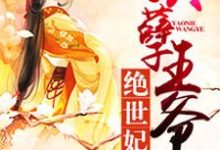 灵念夕渊子阙的故事在哪本书里?免费阅读妖孽王爷绝世妃-够力荐小说推荐网
