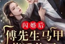 《闪婚后:傅先生马甲藏不住了》小说章节列表免费试读,傅廷修孟宁小说在线阅读-够力荐小说推荐网
